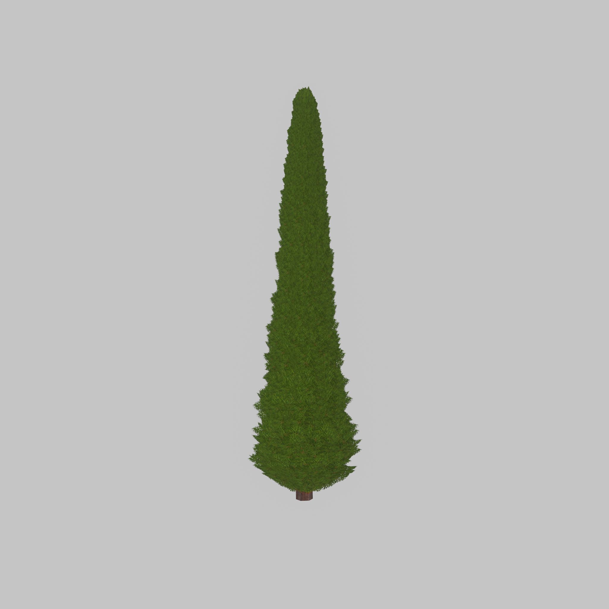 Mock cypress version-3 8000mm Low-poly 3D model_25