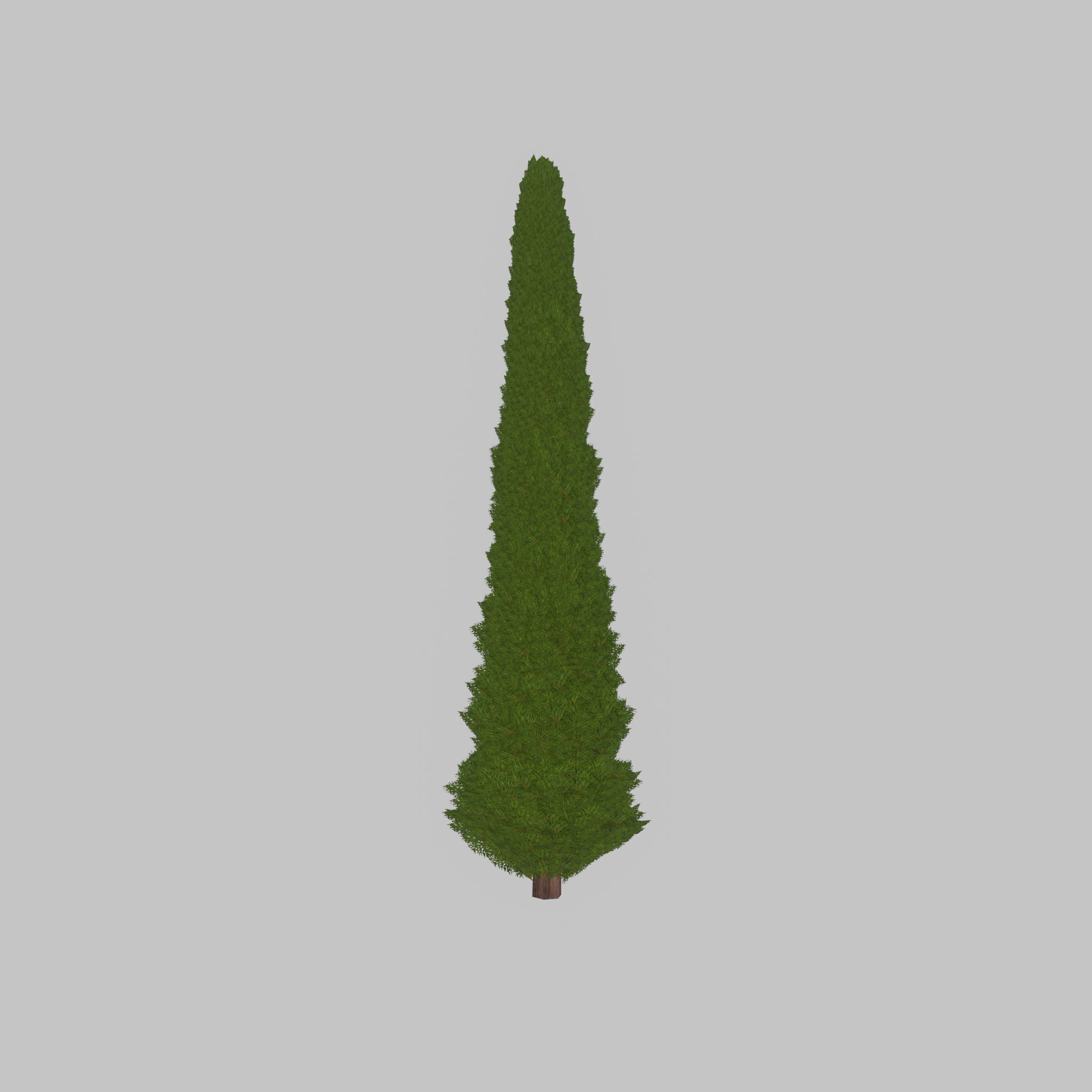 Mock cypress version-3 8000mm Low-poly 3D model_37