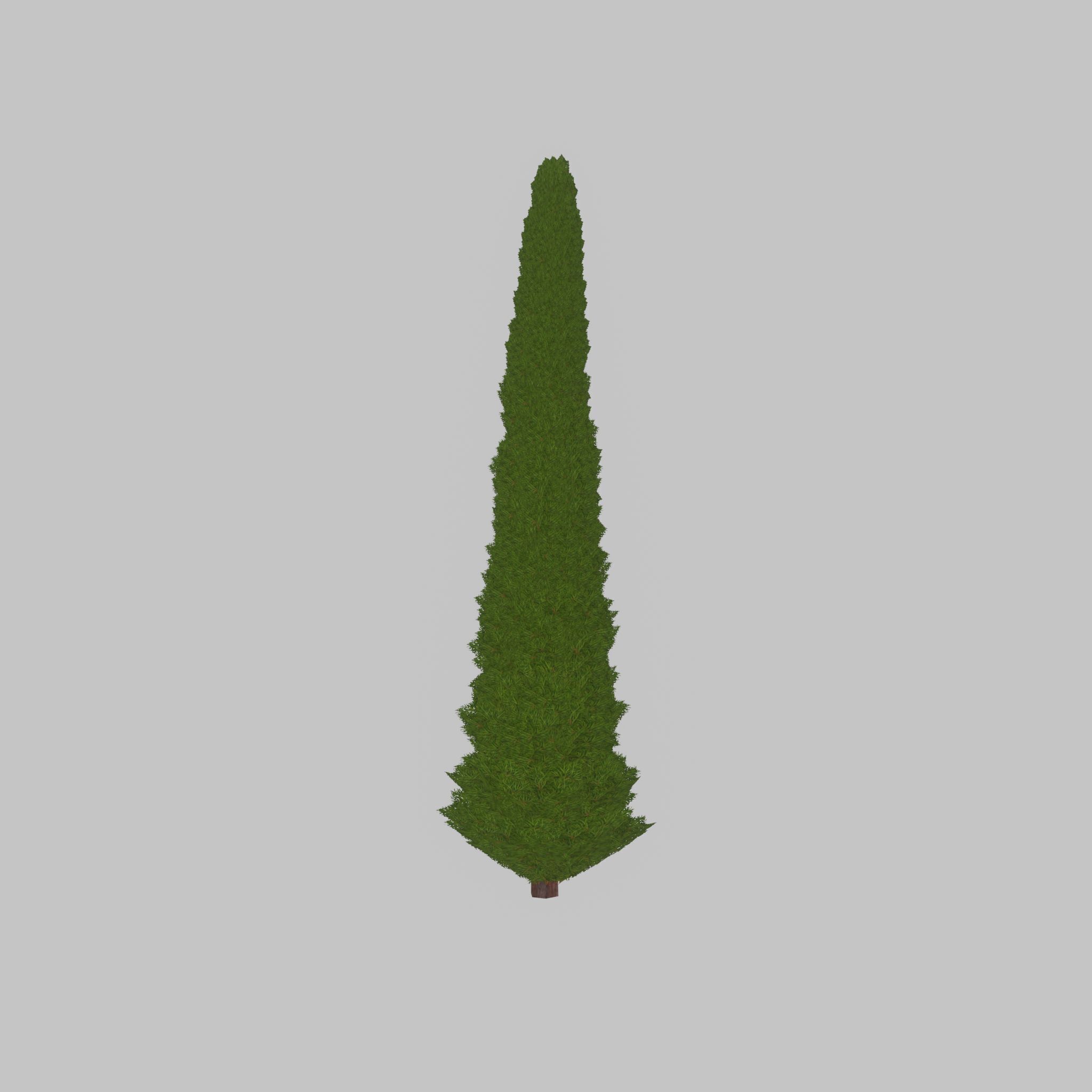 Mock cypress version-3 8000mm Low-poly 3D model_23