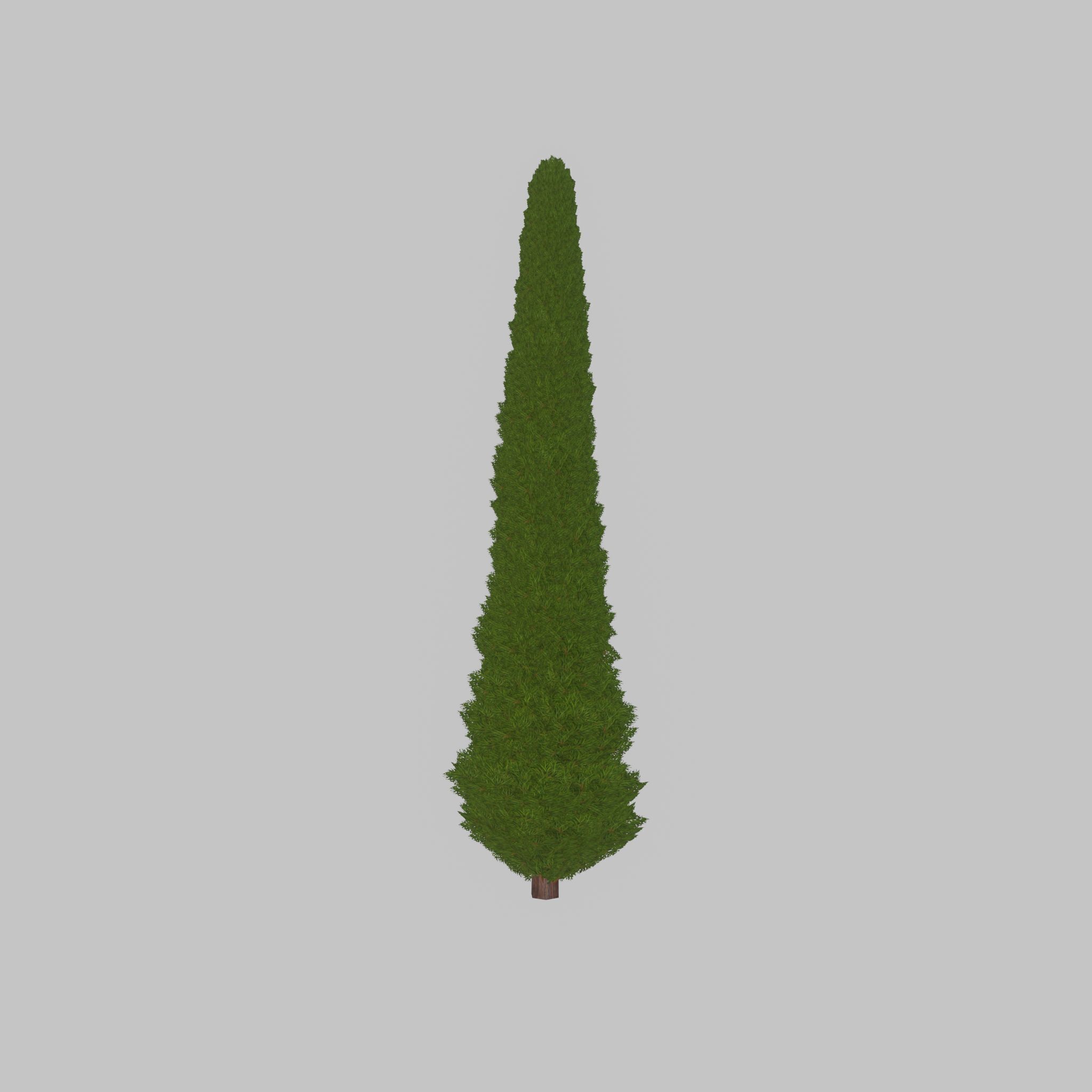 Mock cypress version-3 8000mm Low-poly 3D model_39