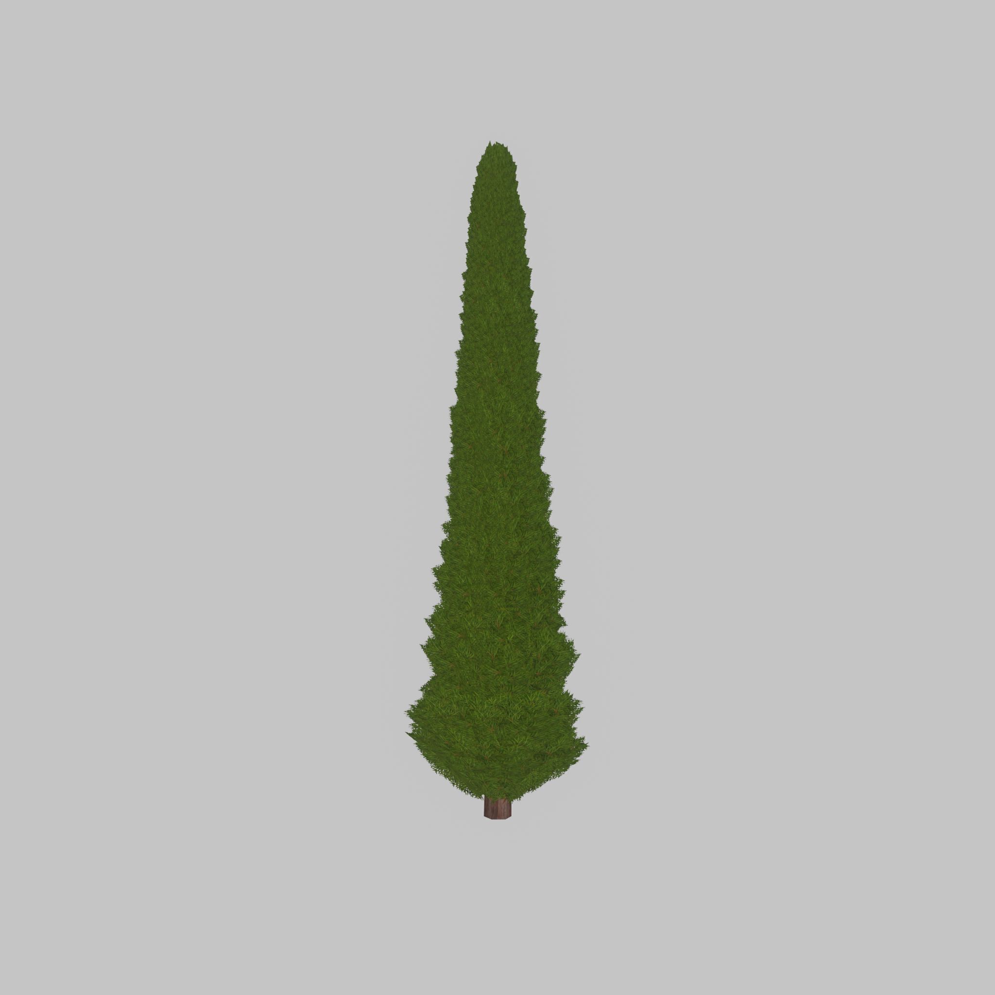 Mock cypress version-3 8000mm Low-poly 3D model_21