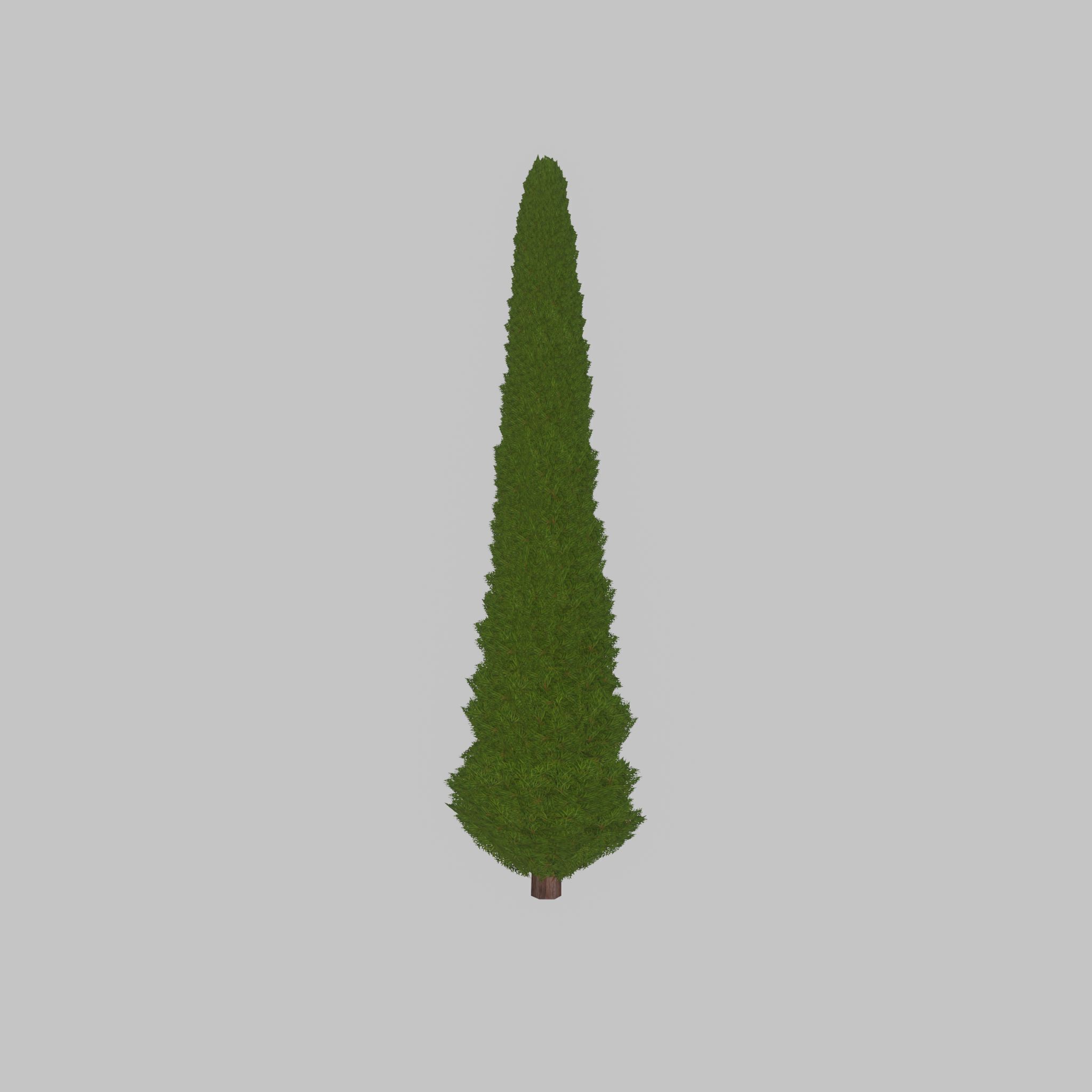 Mock cypress version-3 8000mm Low-poly 3D model_38