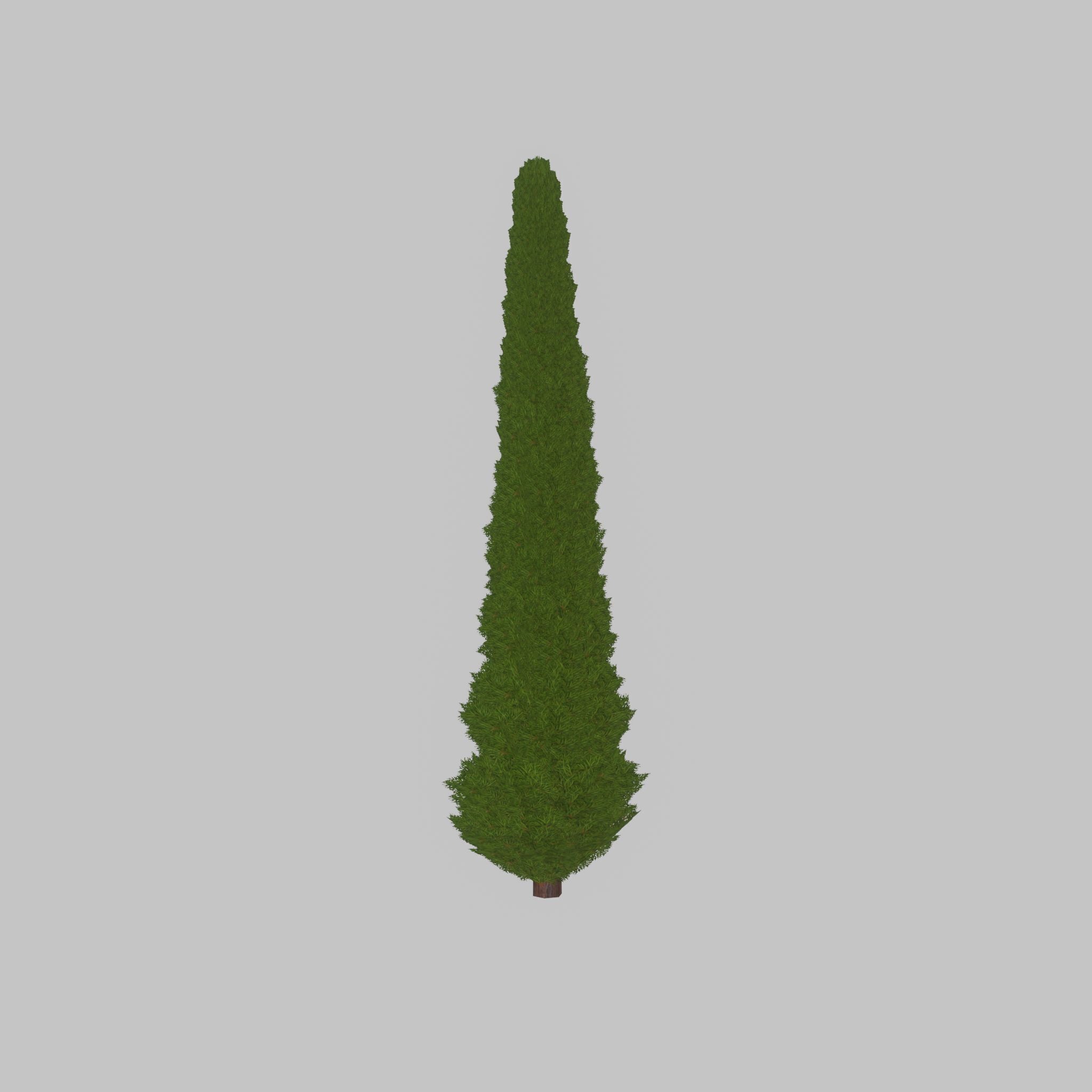 Mock cypress version-3 8000mm Low-poly 3D model_28