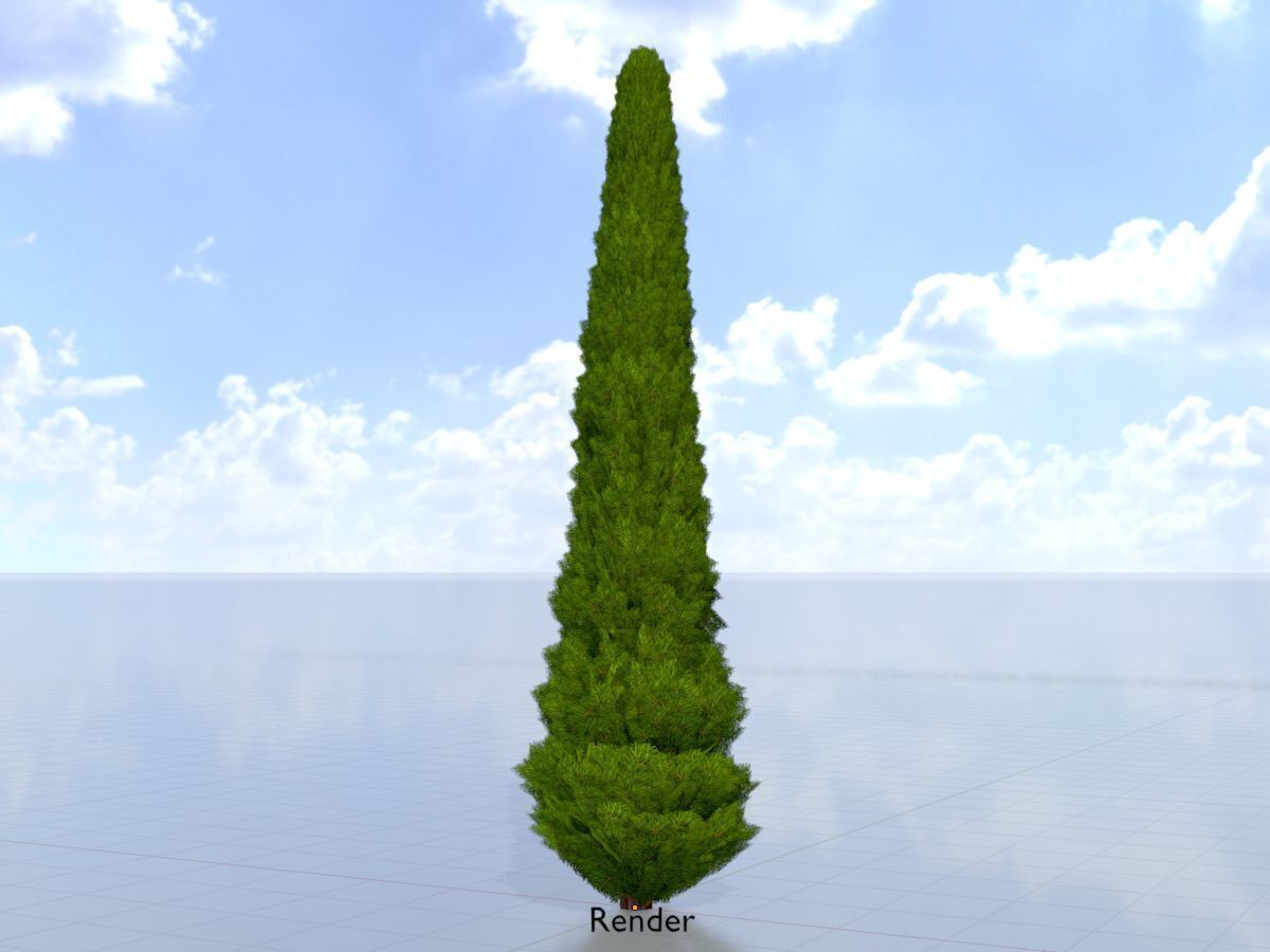 Mock cypress version-3 8000mm Low-poly 3D model_15