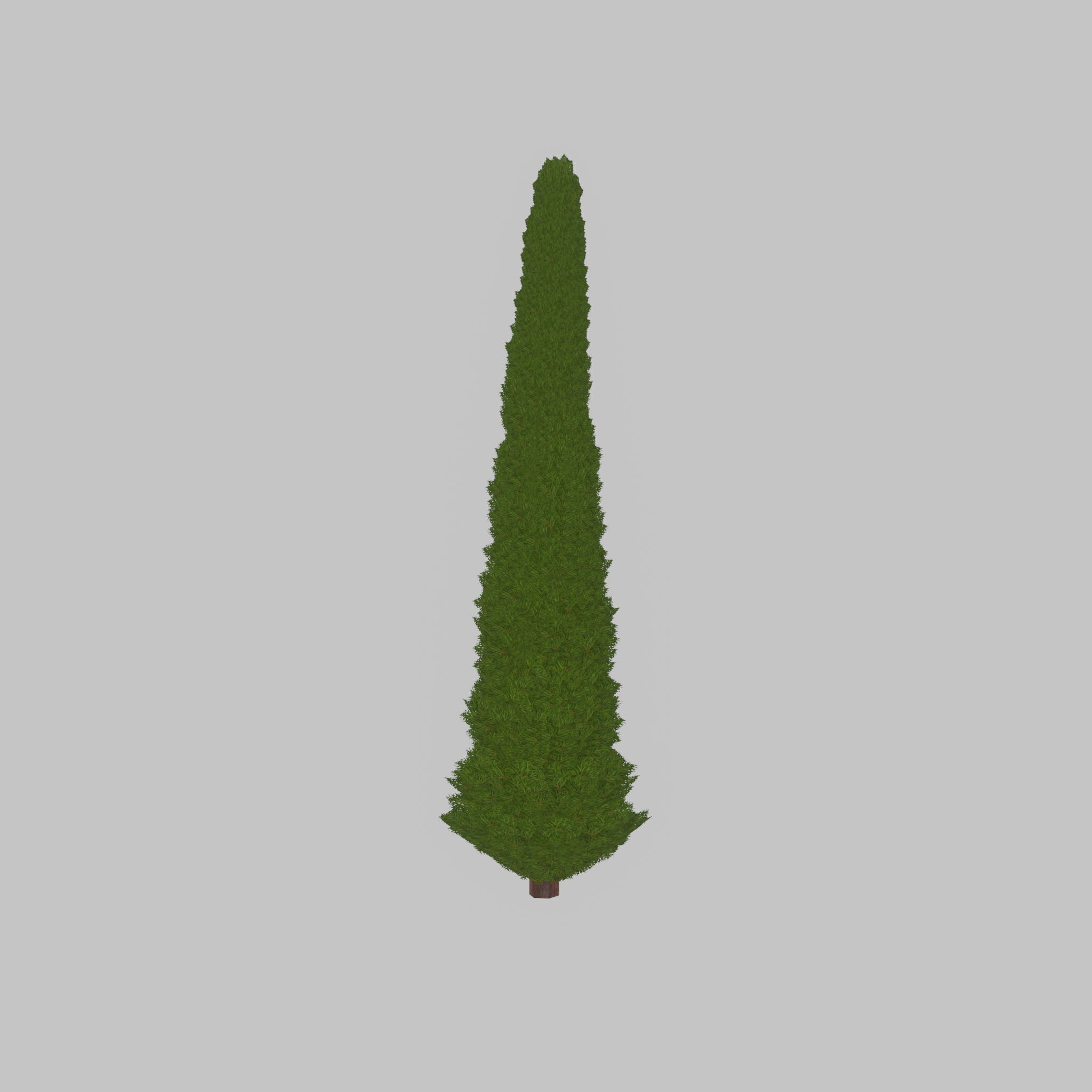Mock cypress version-3 8000mm Low-poly 3D model_22