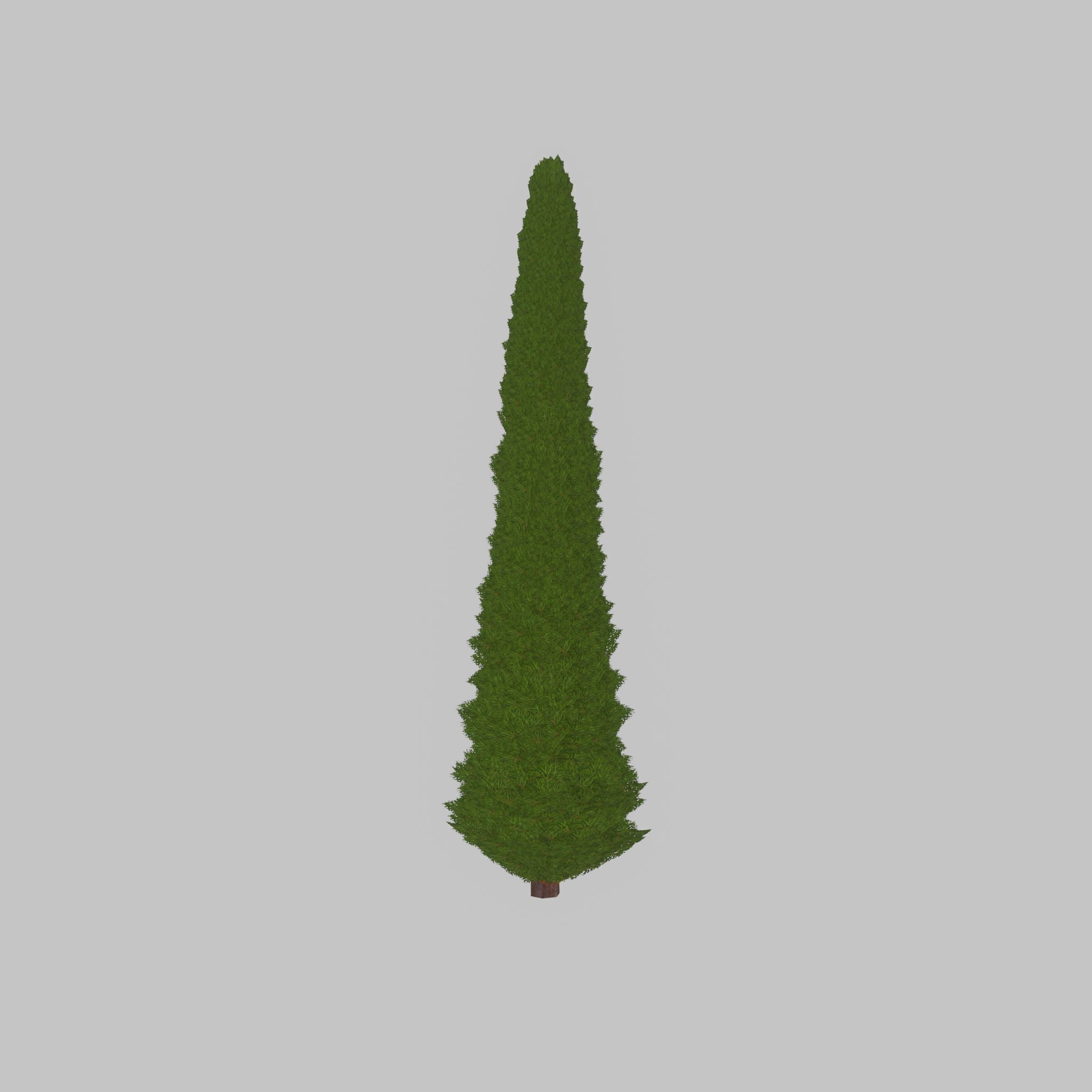 Mock cypress version-3 8000mm Low-poly 3D model_24