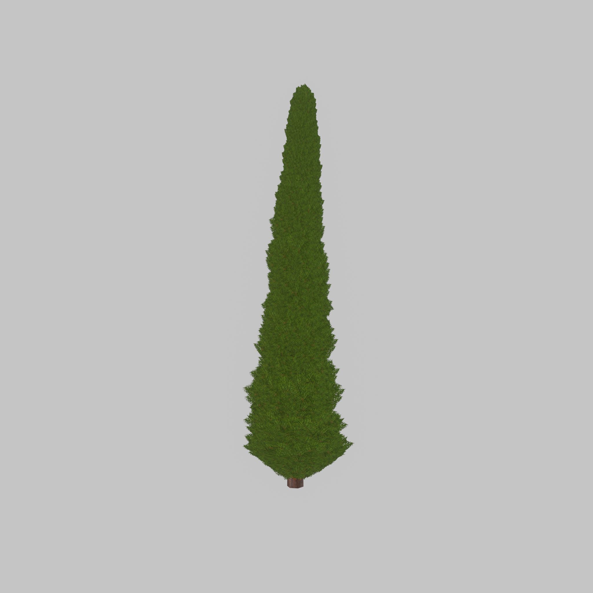 Mock cypress version-3 8000mm Low-poly 3D model_42