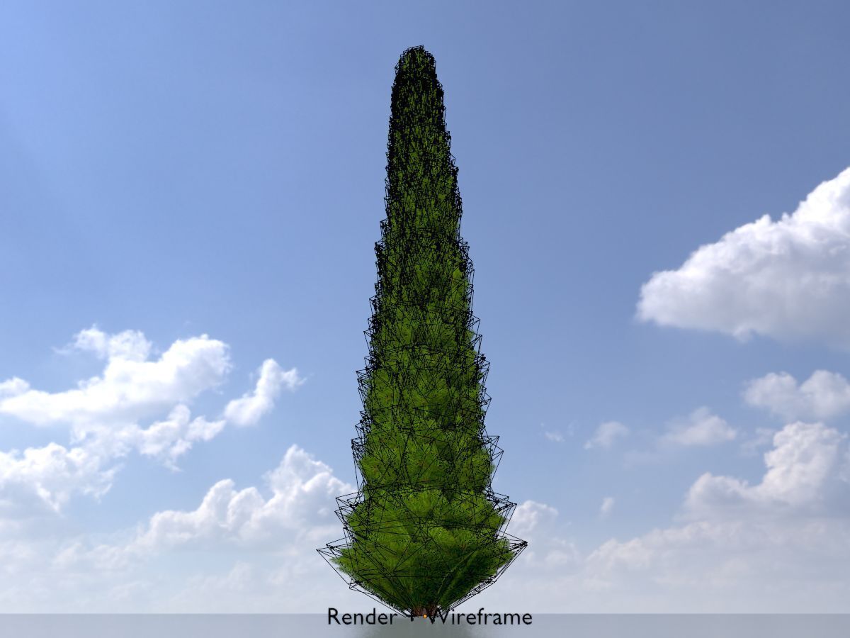 Mock cypress version-3 8000mm Low-poly 3D model_6