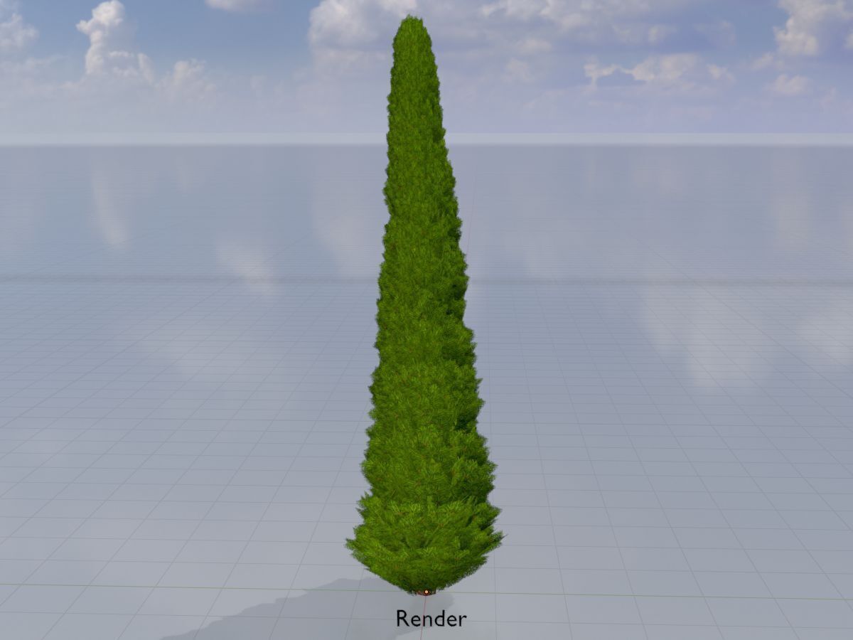 Mock cypress version-3 8000mm Low-poly 3D model_14
