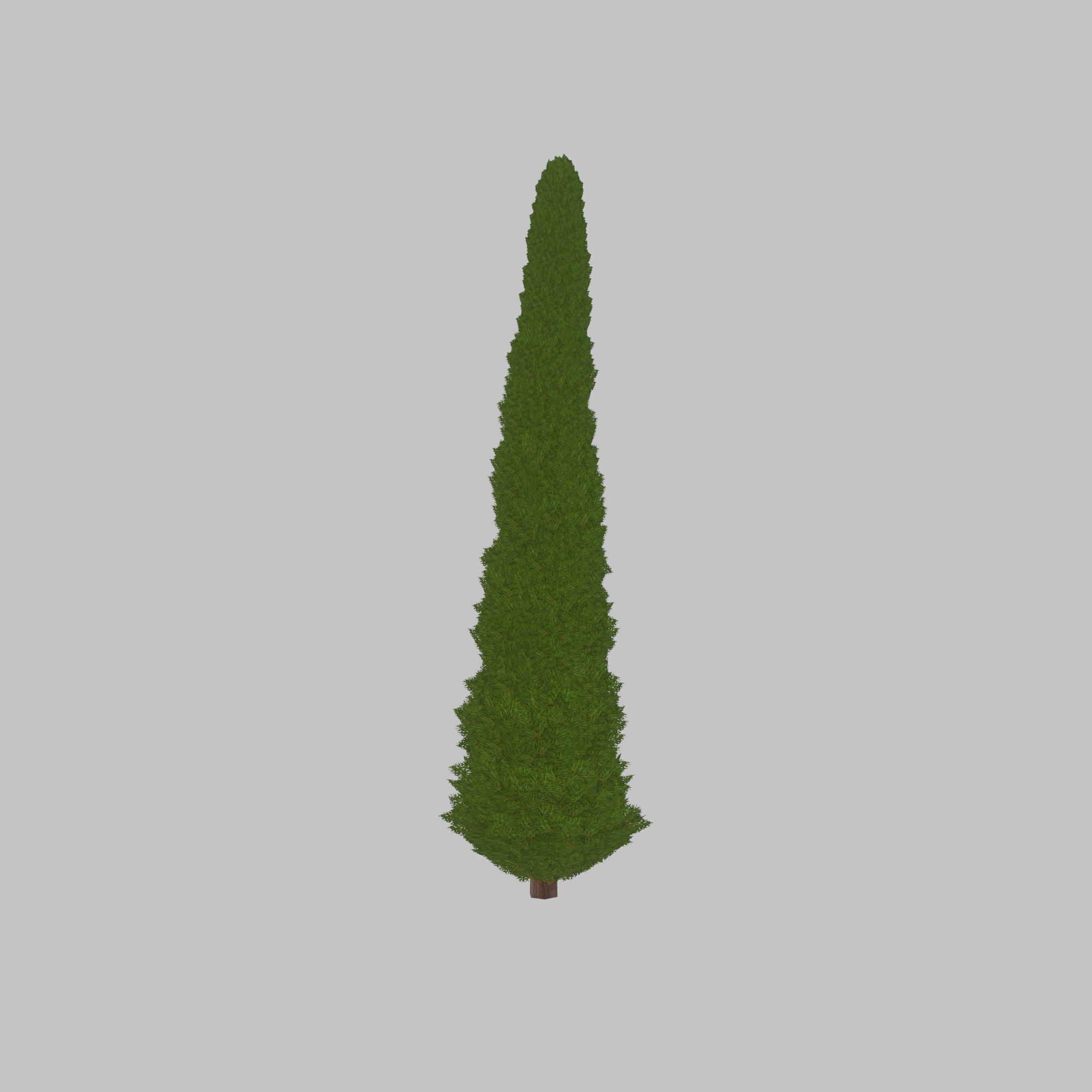 Mock cypress version-3 8000mm Low-poly 3D model_43