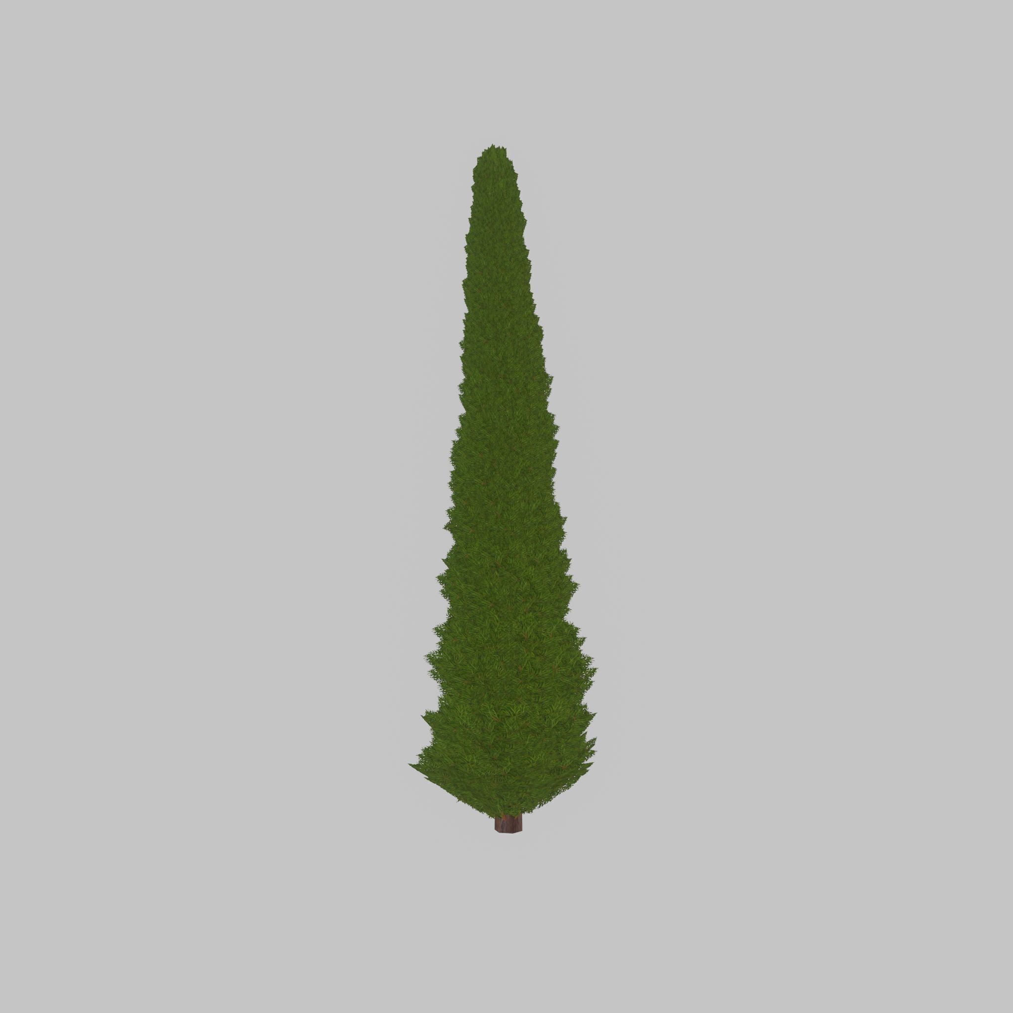 Mock cypress version-3 8000mm Low-poly 3D model_30