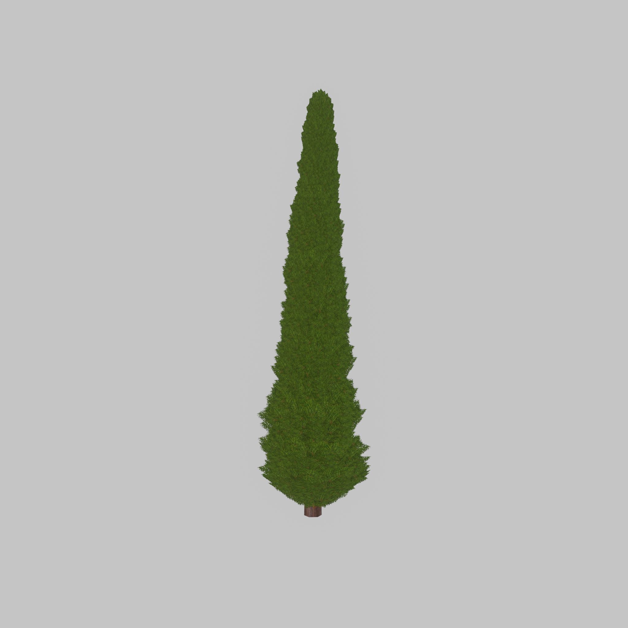 Mock cypress version-3 8000mm Low-poly 3D model_41