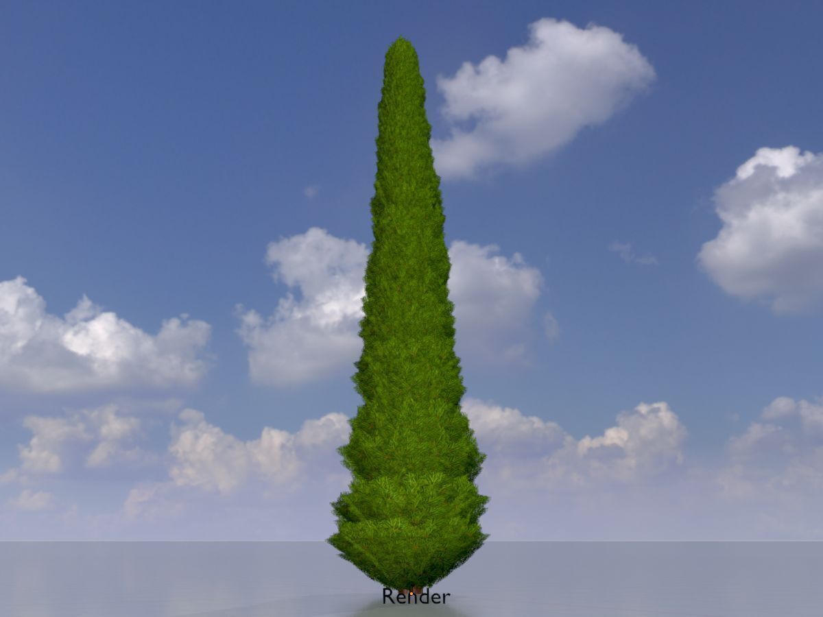 Mock cypress version-3 8000mm Low-poly 3D model_13