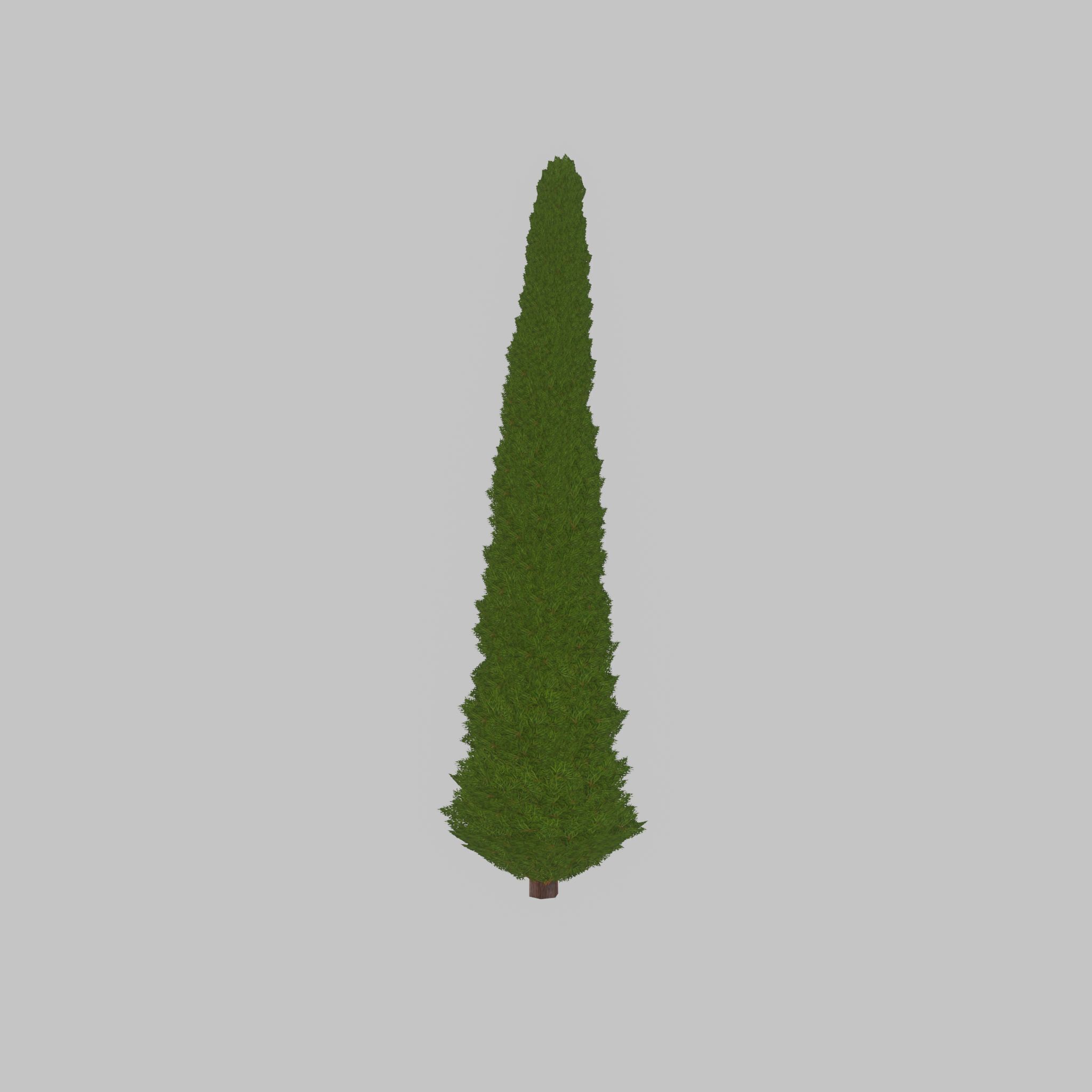 Mock cypress version-3 8000mm Low-poly 3D model_44