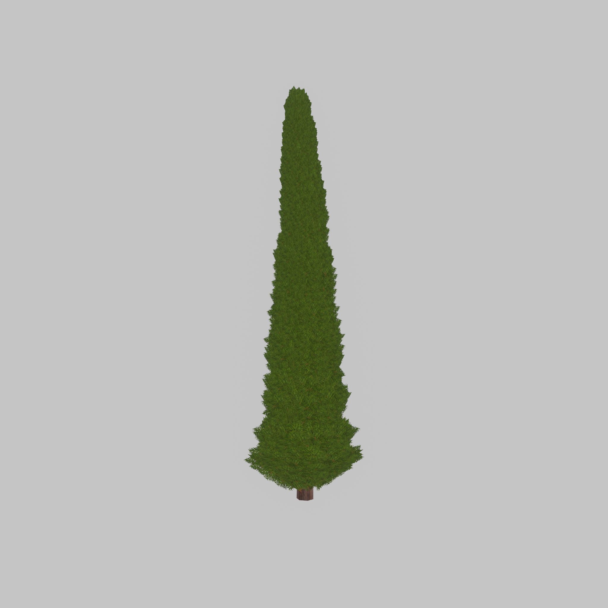 Mock cypress version-3 8000mm Low-poly 3D model_35