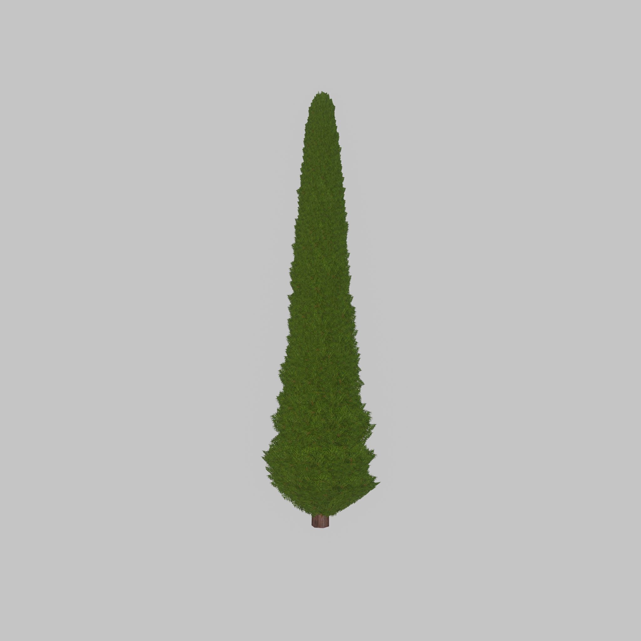 Mock cypress version-3 8000mm Low-poly 3D model_32