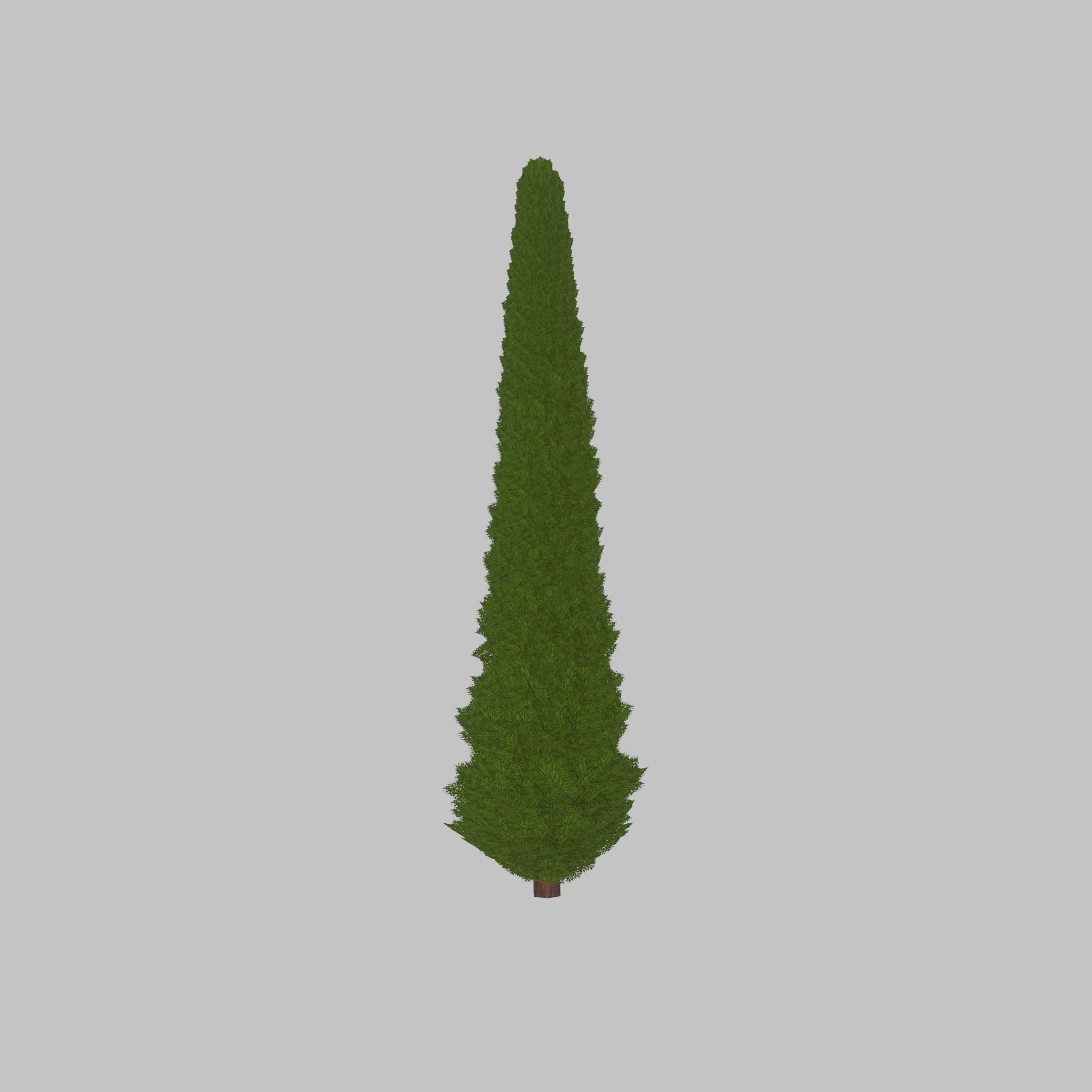 Mock cypress version-3 8000mm Low-poly 3D model_27