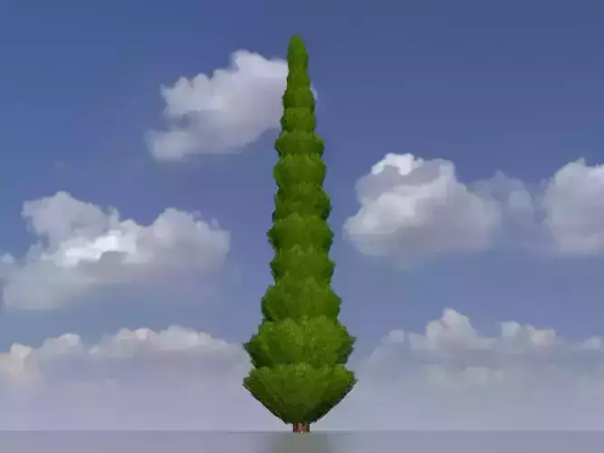 Mock cypress version-4 8000mm Low-poly 3D model