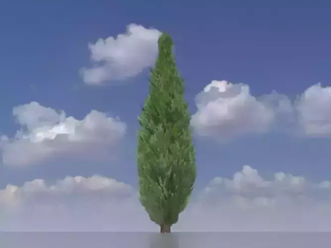 Mock cypress version-1 10000mm Low-poly 3D model