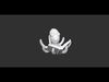 Oliver the Bookish Octopus Free 3D print model_1