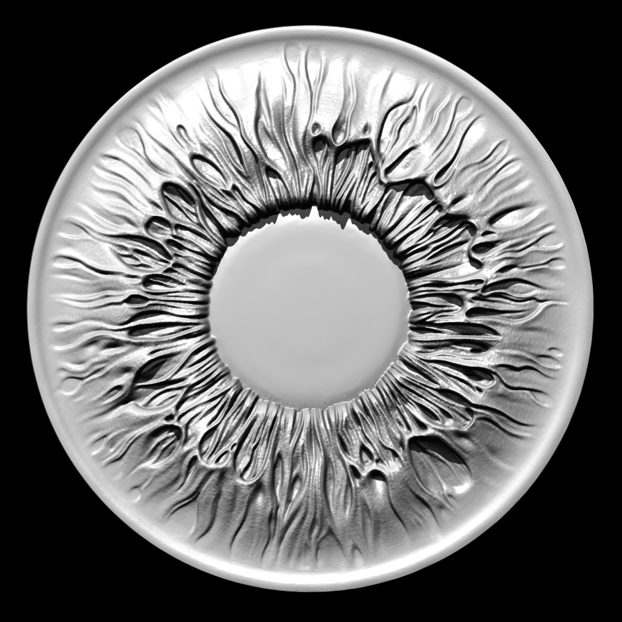 Printable Iris of the Eye - Ready for 3D Printing 3D print model_3