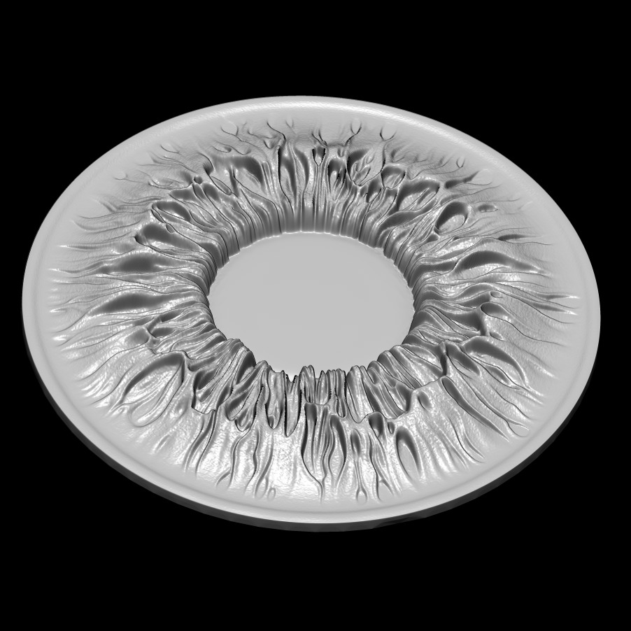 Printable Iris of the Eye - Ready for 3D Printing 3D print model_2