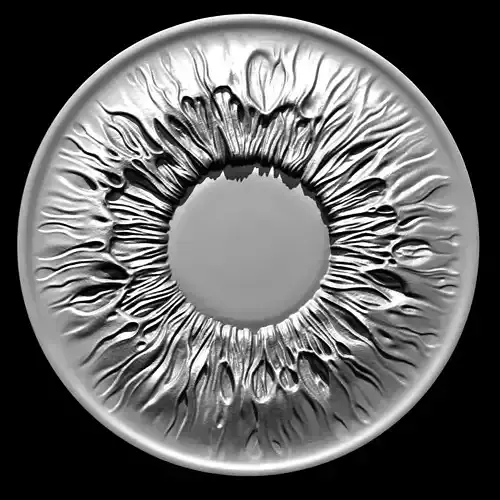 Printable Iris of the Eye - Ready for 3D Printing