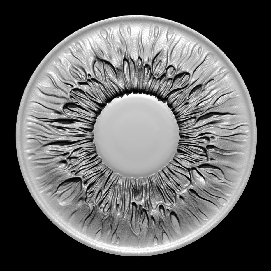 Printable Iris of the Eye - Ready for 3D Printing 3D print model_4