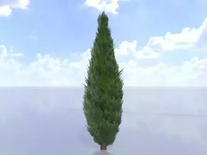 Mock cypress version-1 15000mm Low-poly 3D model