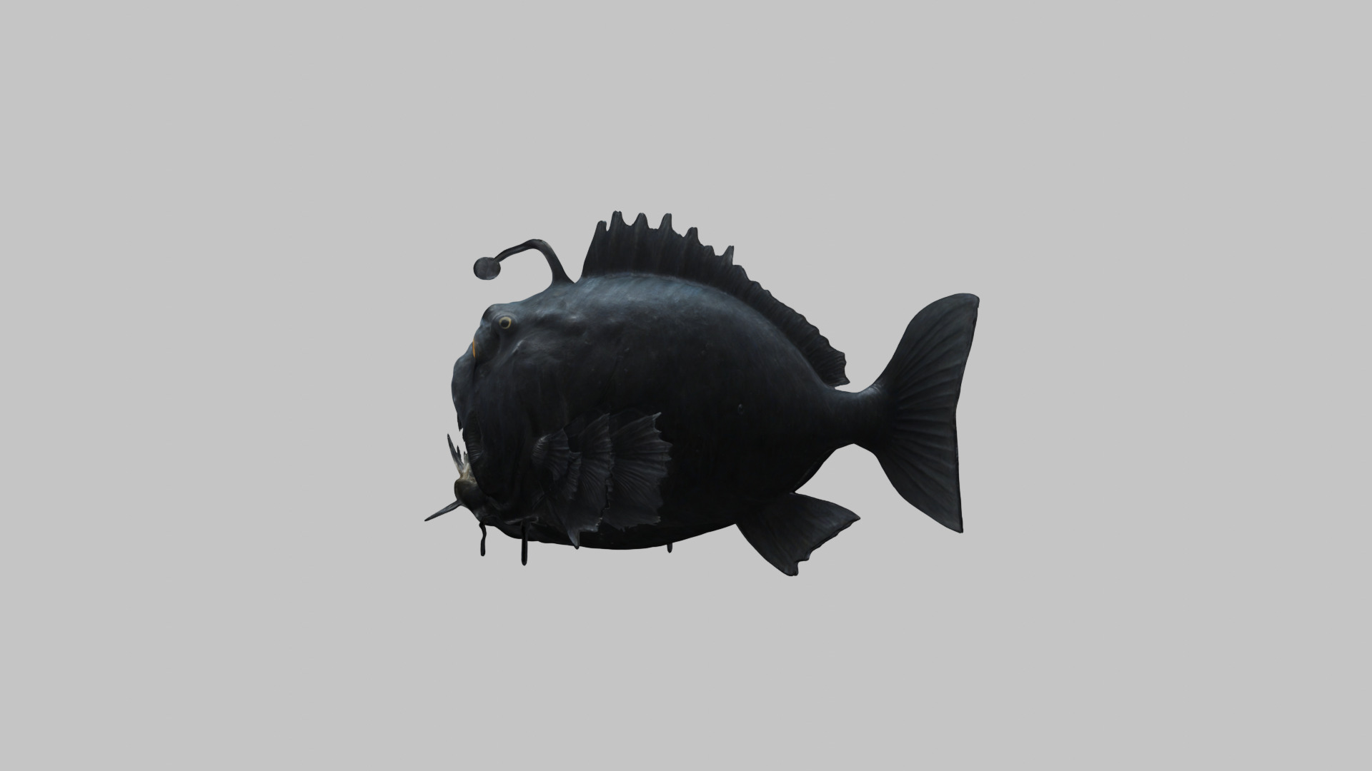 Black Humpback anglerfish Deep-sea fish Abyss Abyssal Low-poly 3D model_3