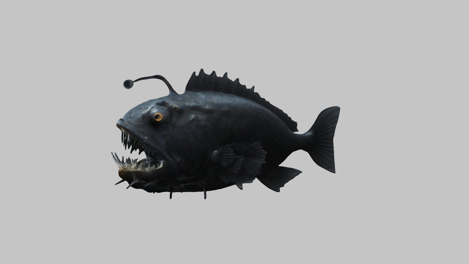 Black Humpback anglerfish Deep-sea fish Abyss Abyssal Low-poly 3D model_6