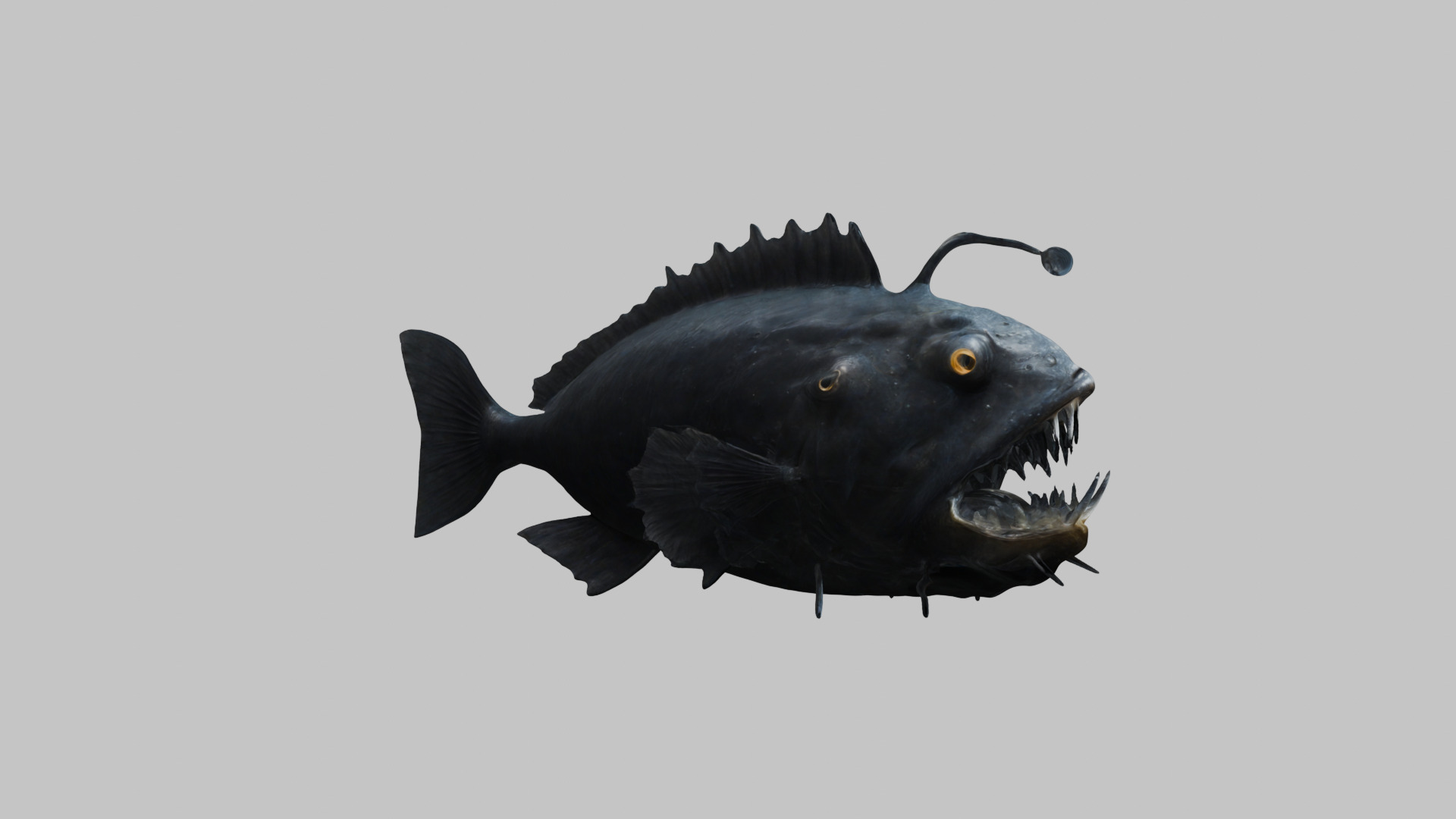 Black Humpback anglerfish Deep-sea fish Abyss Abyssal Low-poly 3D model_10