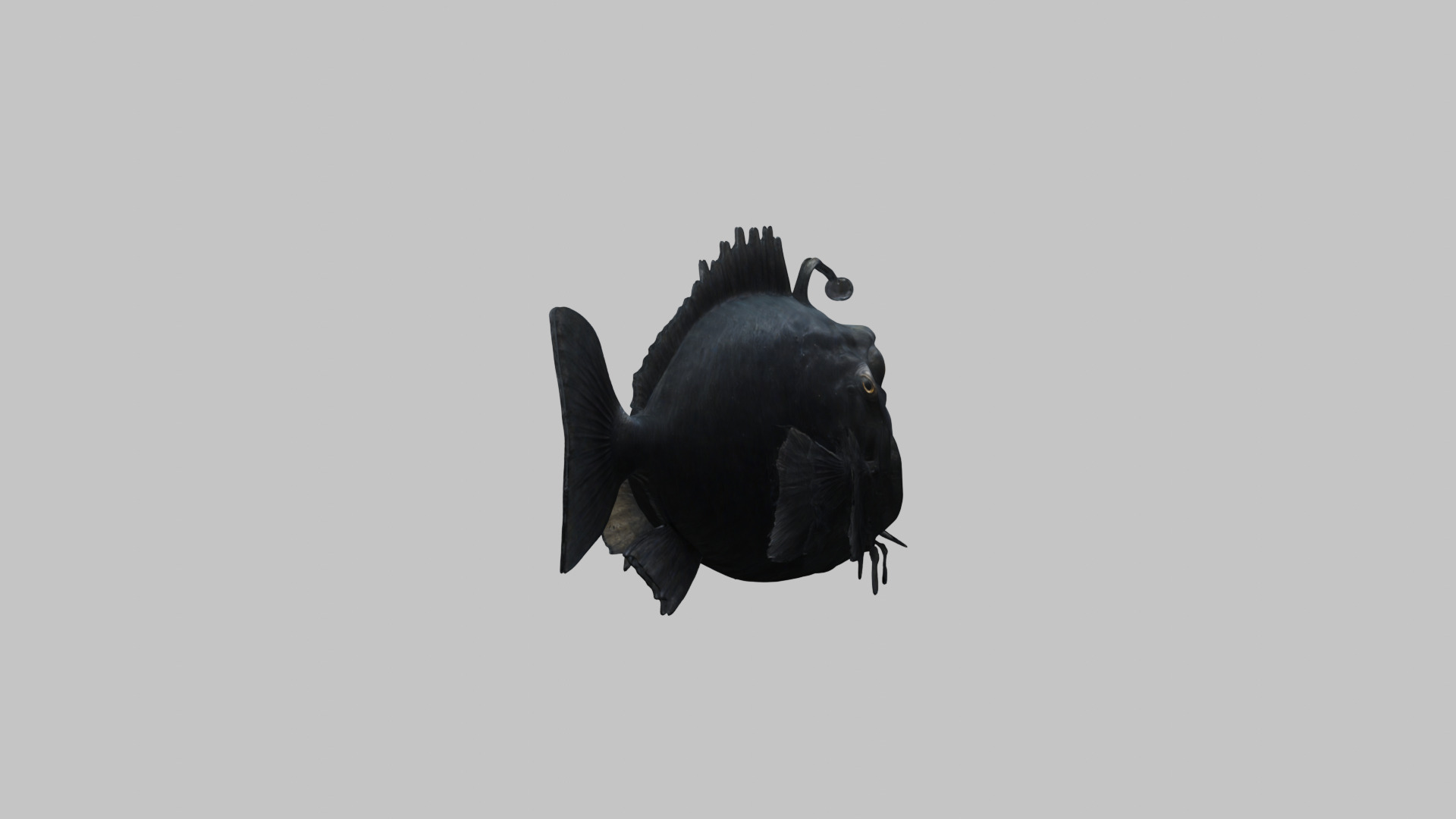 Black Humpback anglerfish Deep-sea fish Abyss Abyssal Low-poly 3D model_14