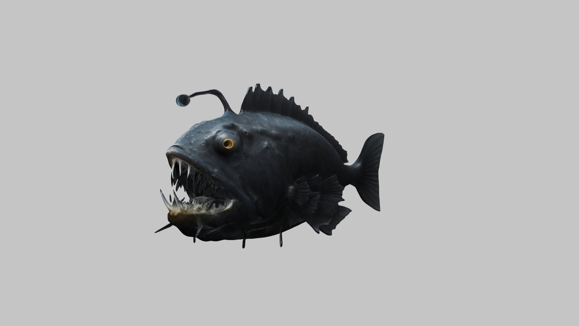 Black Humpback anglerfish Deep-sea fish Abyss Abyssal Low-poly 3D model_7