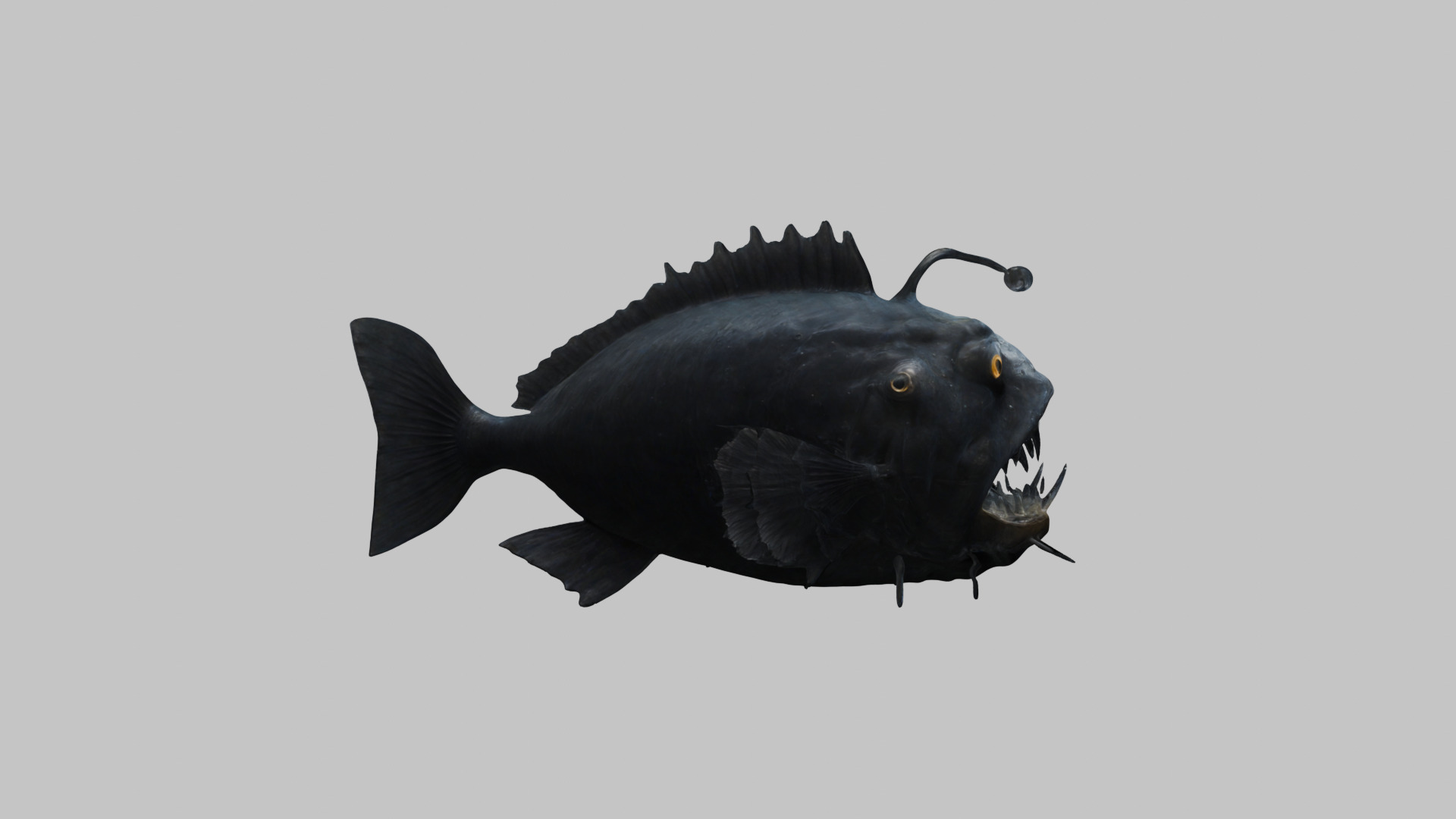 Black Humpback anglerfish Deep-sea fish Abyss Abyssal Low-poly 3D model_12