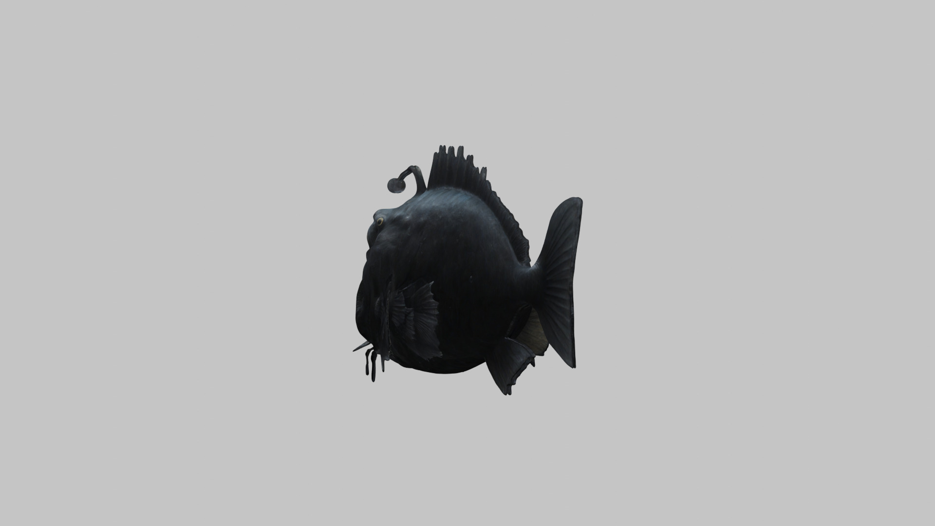 Black Humpback anglerfish Deep-sea fish Abyss Abyssal Low-poly 3D model_2