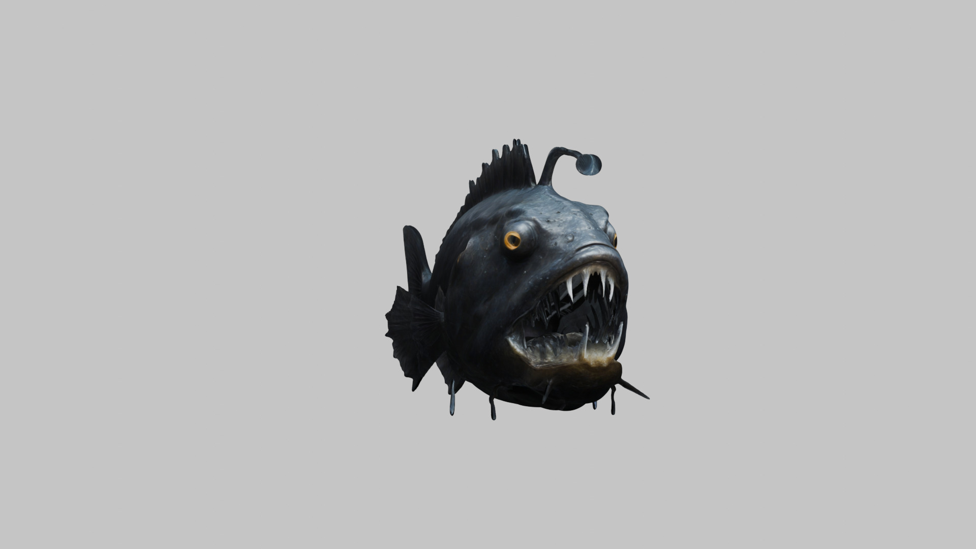 Black Humpback anglerfish Deep-sea fish Abyss Abyssal Low-poly 3D model_9
