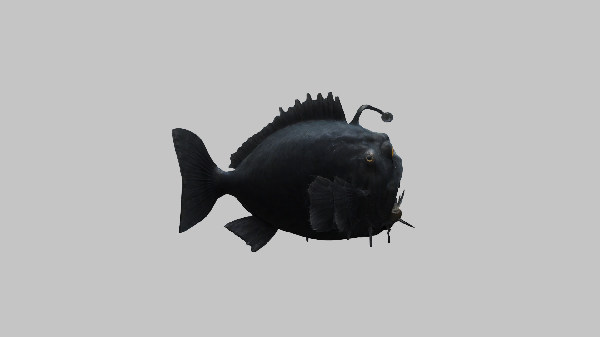 Black Humpback anglerfish Deep-sea fish Abyss Abyssal Low-poly 3D model_13