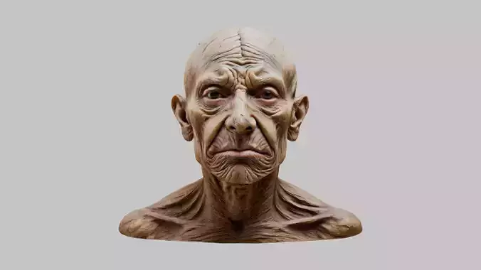 Old Man Head Bust