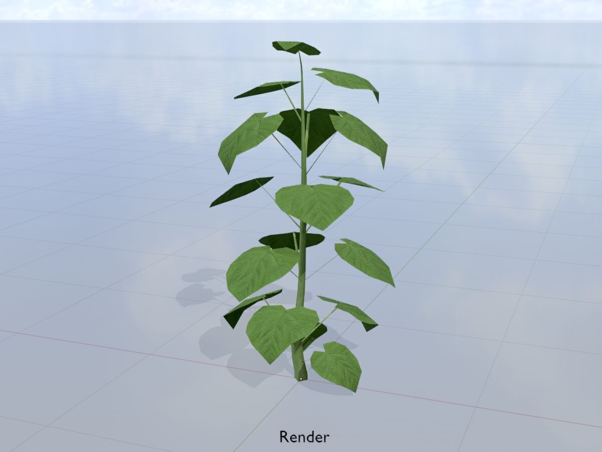 Empress tree summer LOD1 2000mm Low-poly 3D model_15