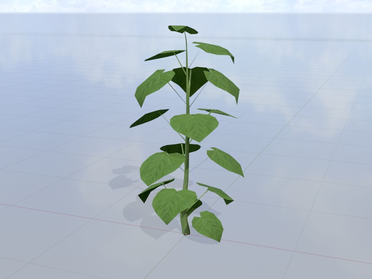 Empress tree summer LOD1 2000mm Low-poly 3D model_3