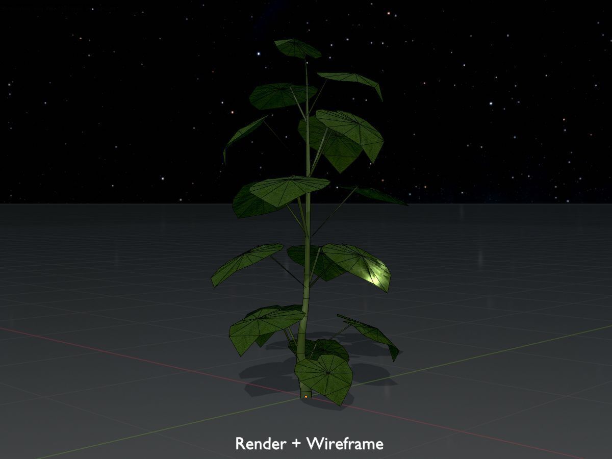 Empress tree summer LOD1 2000mm Low-poly 3D model_7