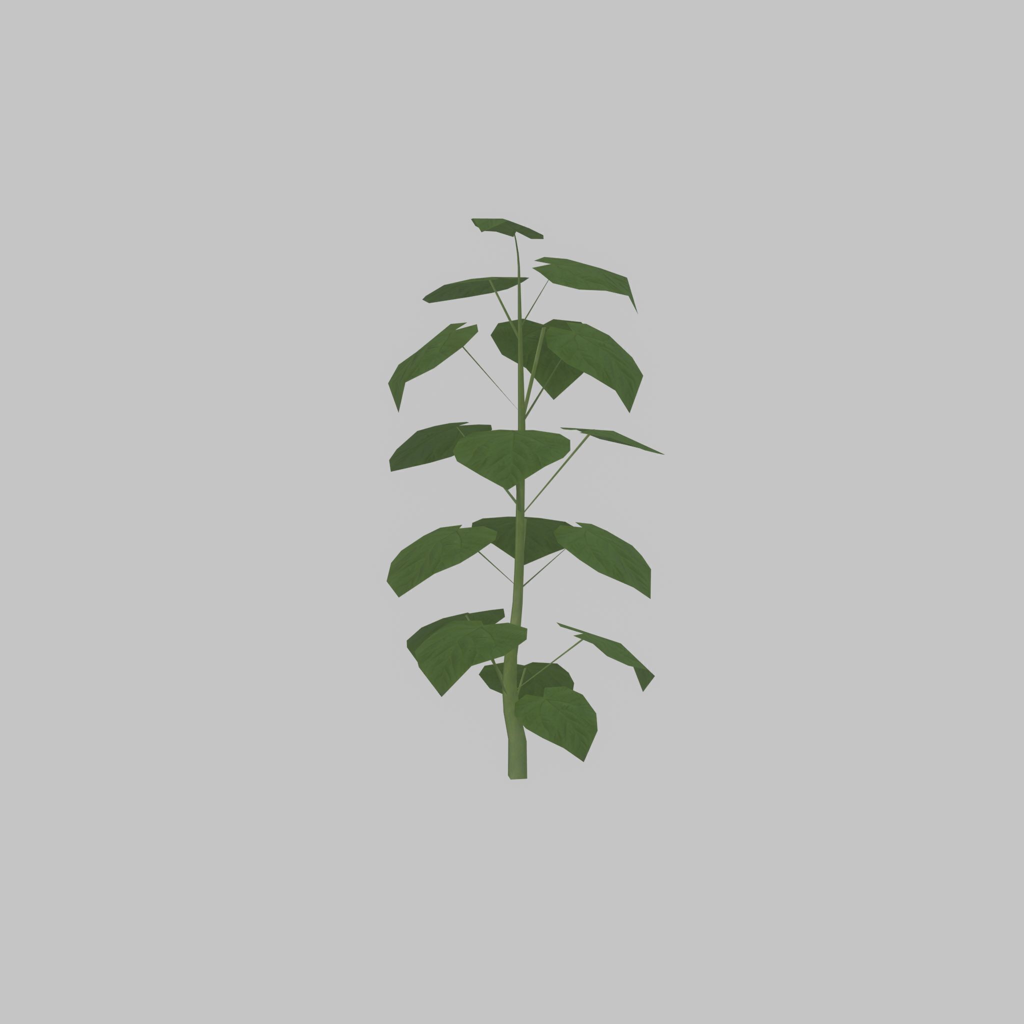 Empress tree summer LOD1 2000mm Low-poly 3D model_21