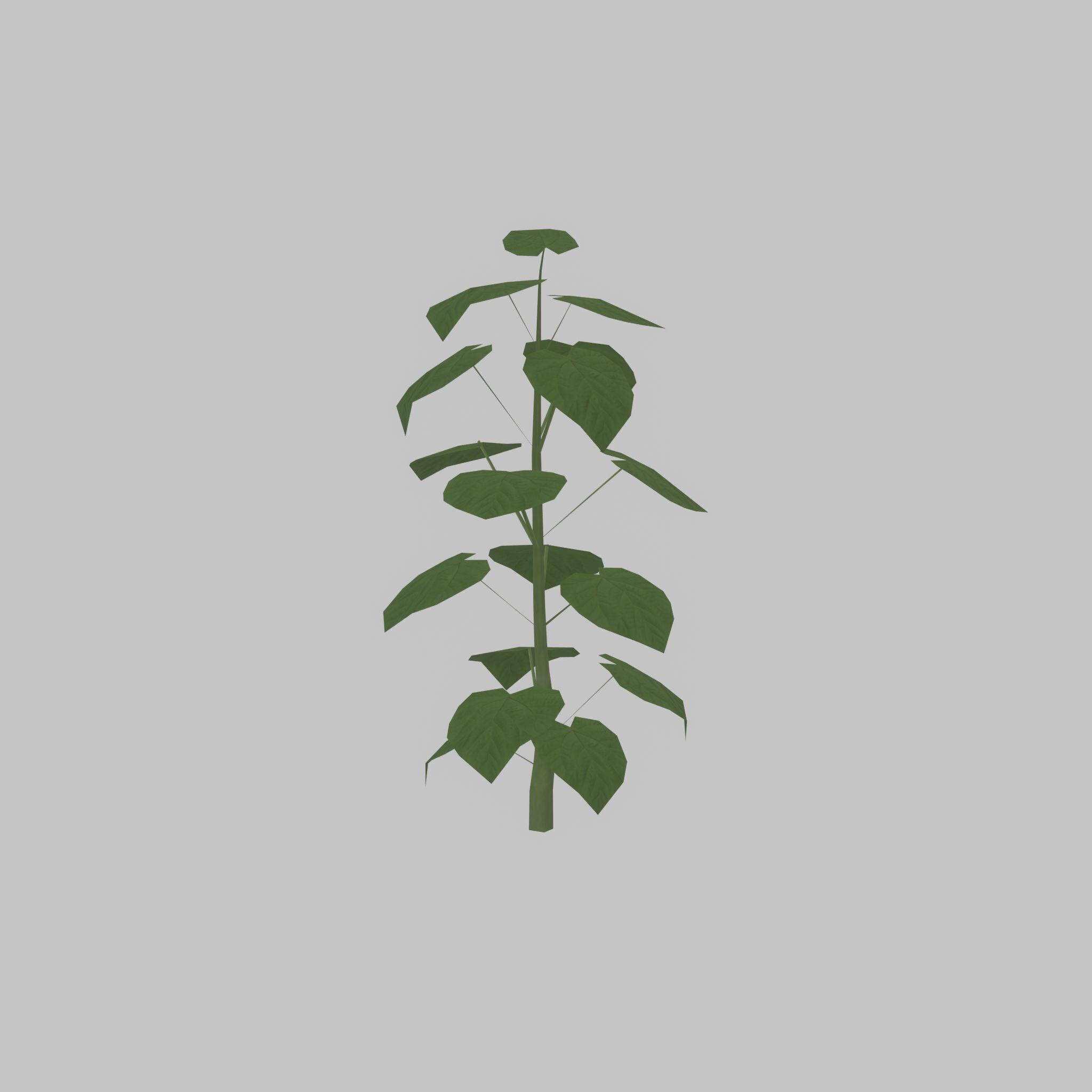 Empress tree summer LOD1 2000mm Low-poly 3D model_22