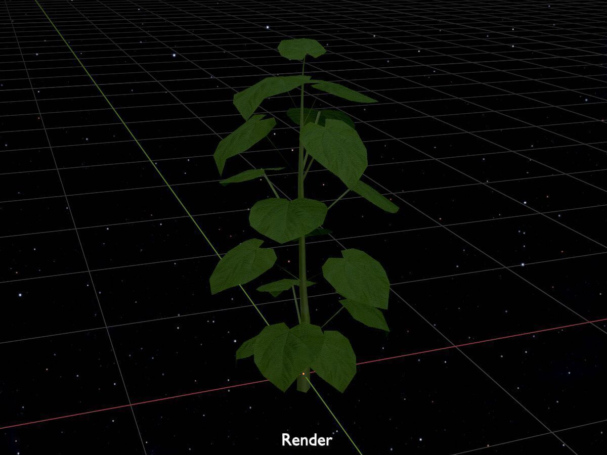 Empress tree summer LOD1 2000mm Low-poly 3D model_17