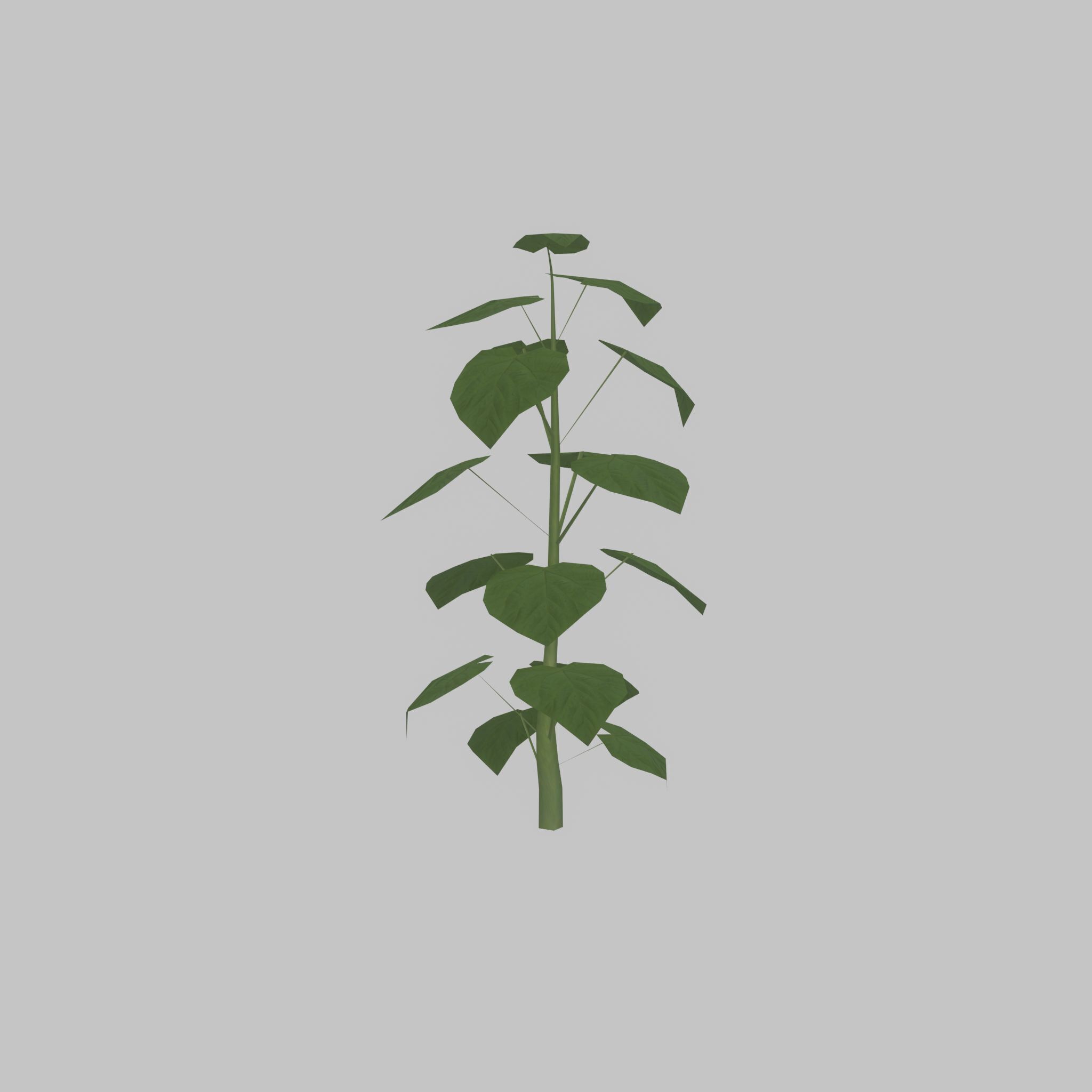 Empress tree summer LOD1 2000mm Low-poly 3D model_32