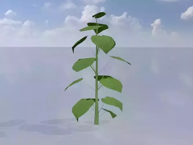 Empress tree summer LOD1 2000mm Low-poly 3D model