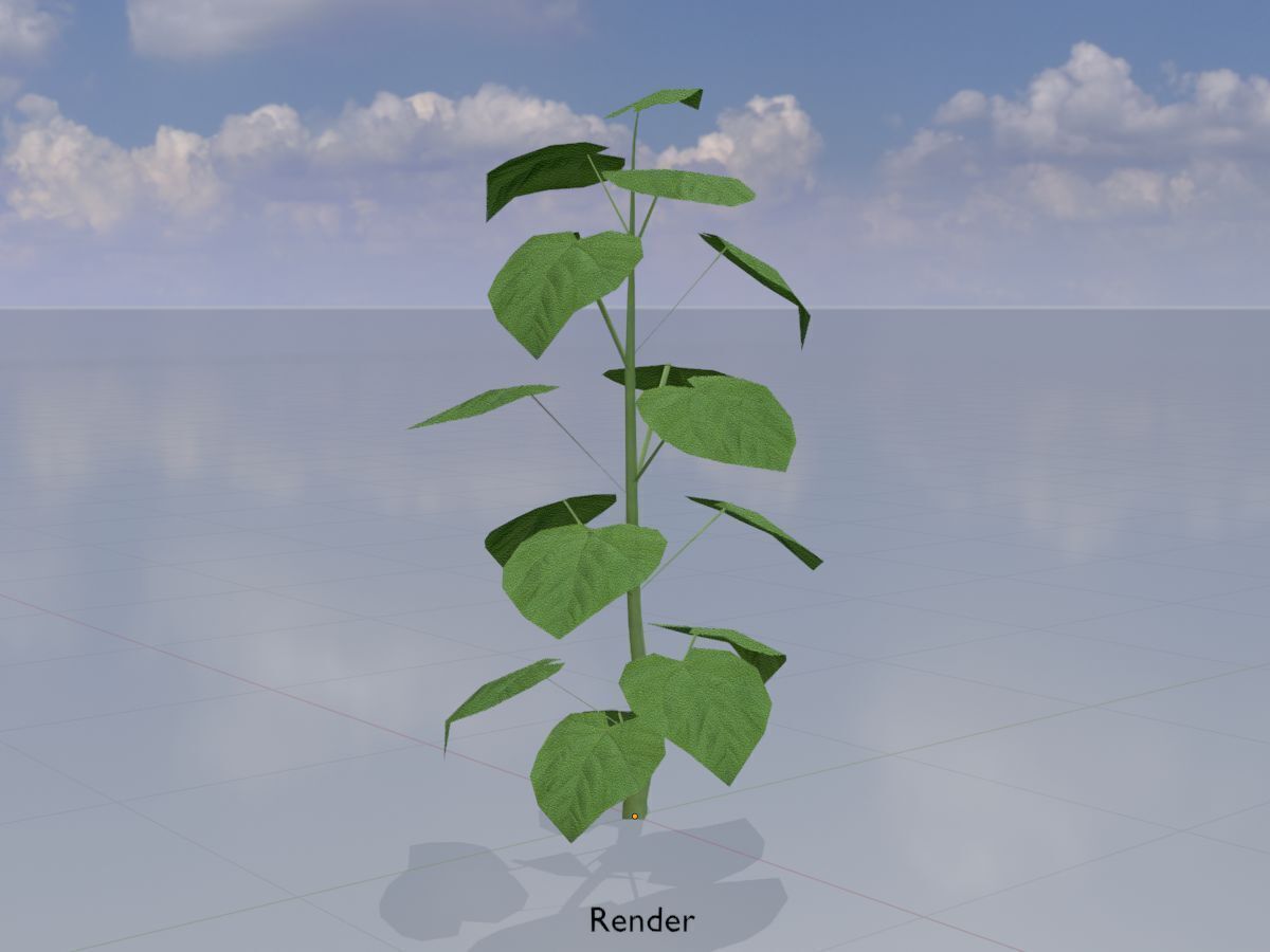 Empress tree summer LOD1 2000mm Low-poly 3D model_13