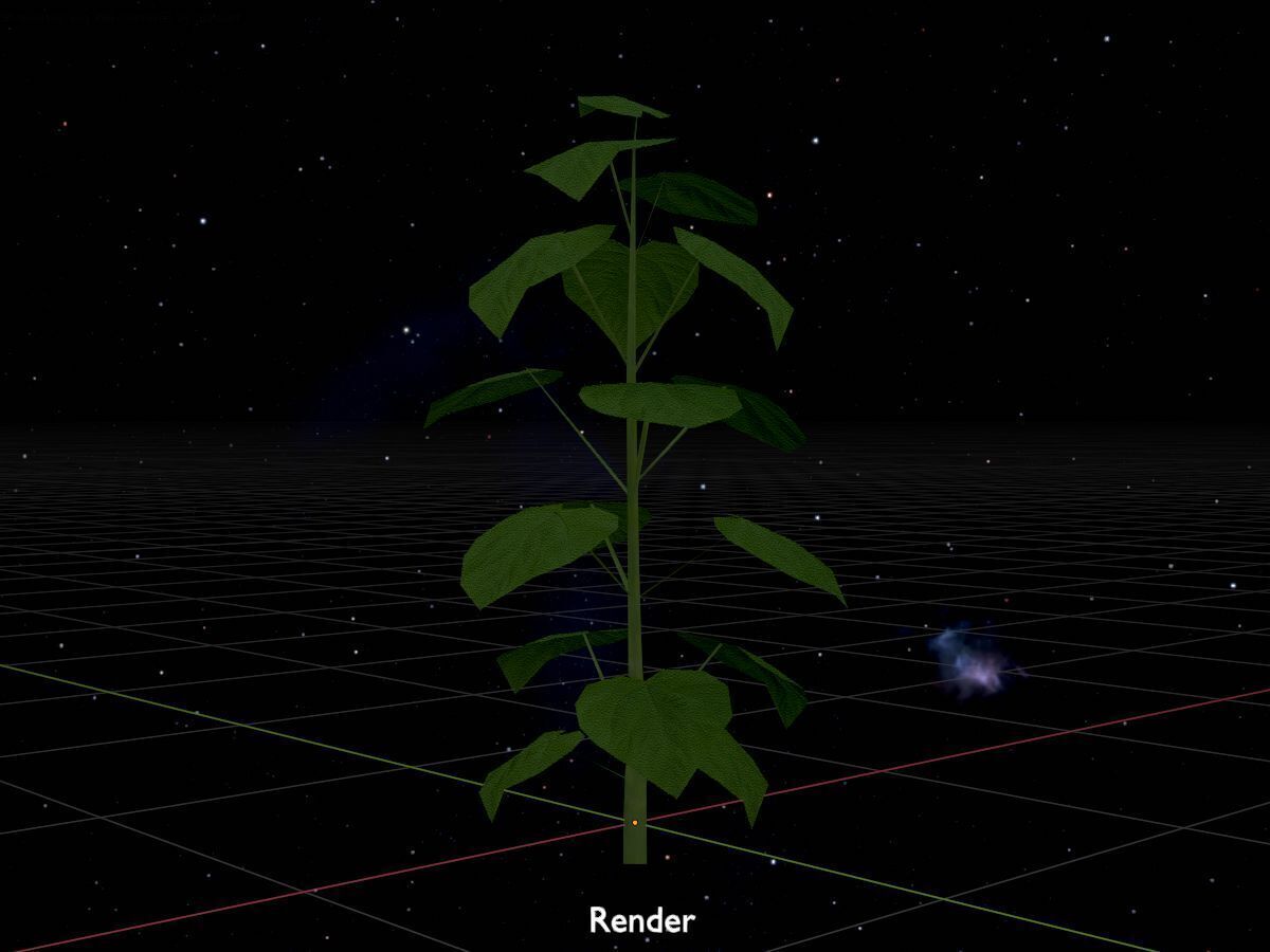 Empress tree summer LOD1 2000mm Low-poly 3D model_20