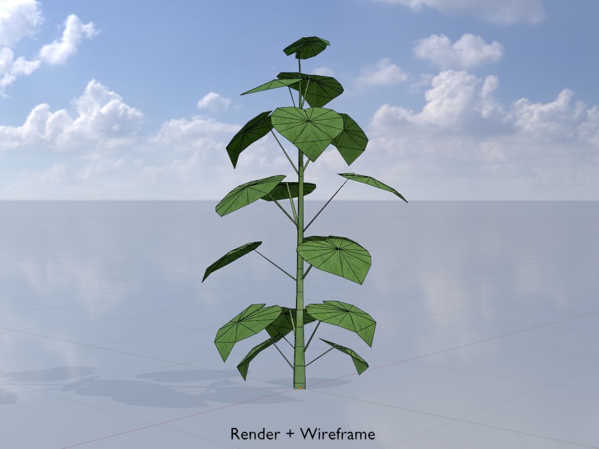 Empress tree summer LOD1 2000mm Low-poly 3D model_6